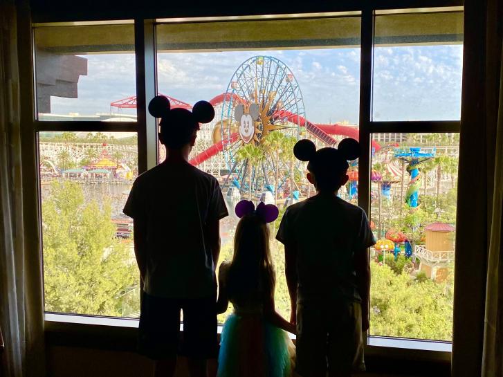 Guest Photo from Samantha Lester: Guests looking at Disney California Adventure from the Grand Californian