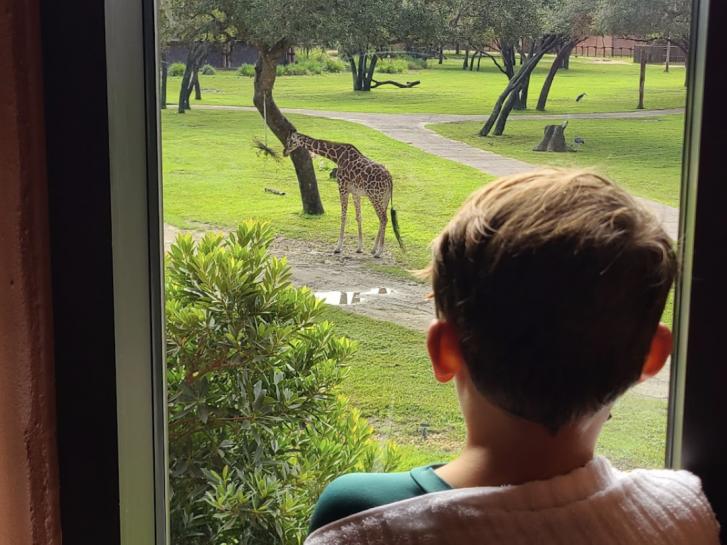 Guest Photo from Jess Nihan: Guests at Disney's Animal Kingdom Lodge